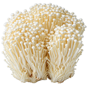 White Enoki