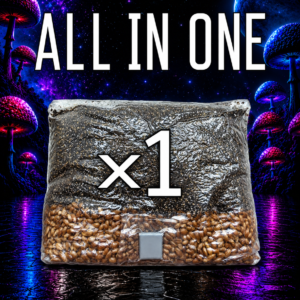 AIO 5 lb Mushroom Grow Bag x1
