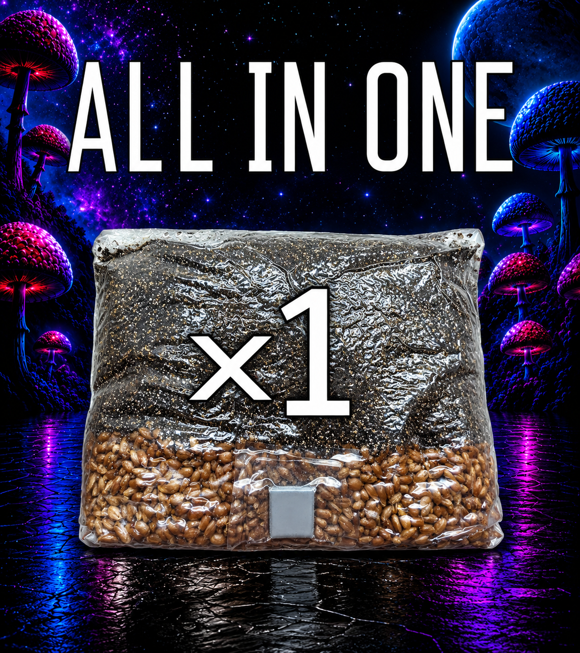 AIO 5 lb Mushroom Grow Bag x1
