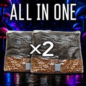AIO 5 lb Mushroom Grow Bag x2