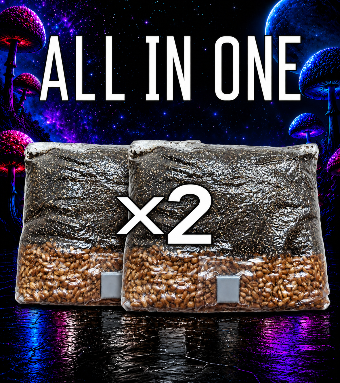 AIO 5 lb Mushroom Grow Bag x2
